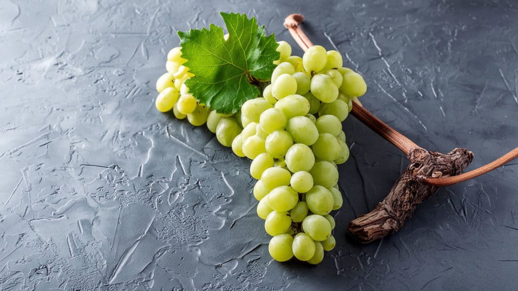 Chardonnay: Die vielfältige Rebsorte für jeden Anlass 14 chardonnay header beitragsbild