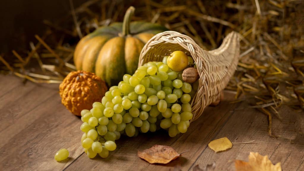 Weidenkorb mit grünen Chardonnay-Trauben, Kürbissen und Herbstlaub auf Stroh
