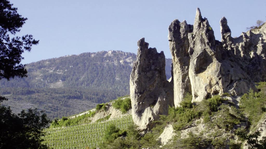 Felsformationen Les Pyramides mit spitzen Türmen vor bewaldetem Berg und Weinberg wo Cornalin angebaut wird