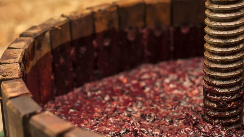 Weinvergärung in Holzfass – Grundlage für Dessertwein von Mathier