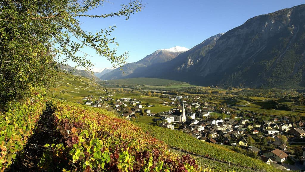 Weinberge in Terrassenlagen – Terroir für Petite Arvine und andere Weissweine