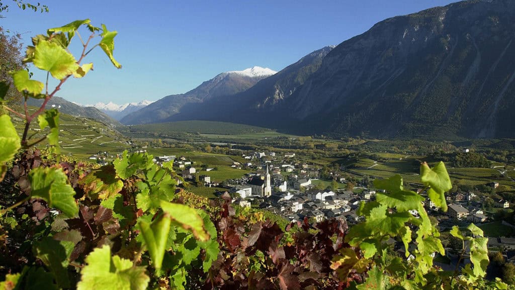 Blick über Pinot Noir Weinreben auf ein Dorf im Tal vor hohen Bergen mit schneebedecktem Gipfel