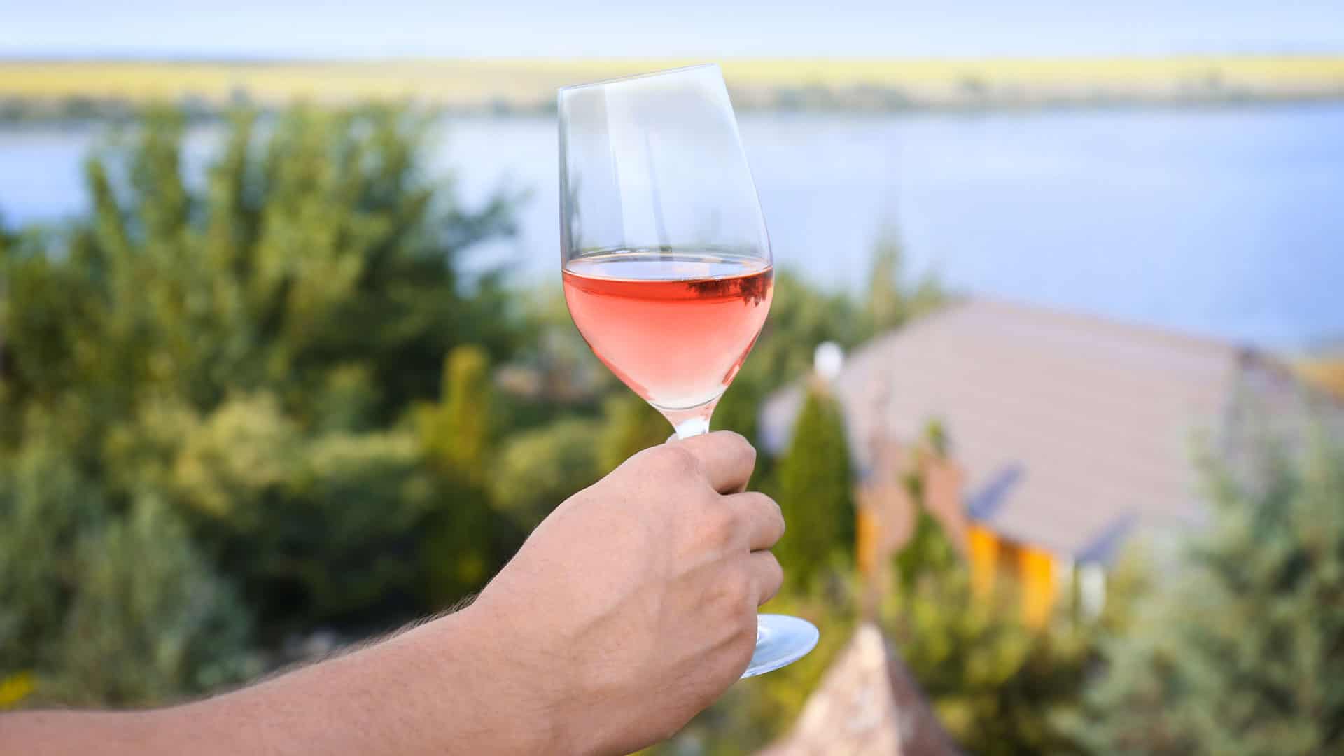 Die besten Rosé Weine für jeden Geschmack 8 rose meeresblick farbe