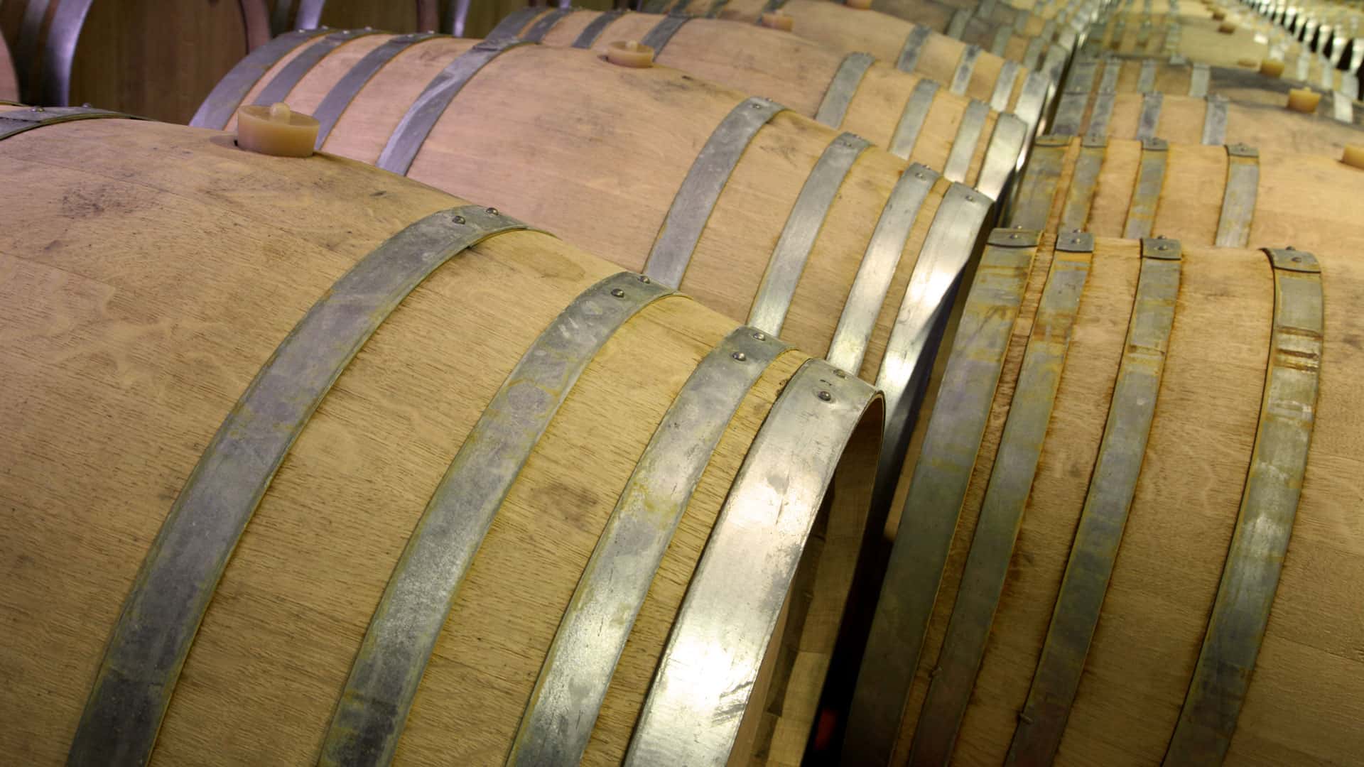 Die besten Rotweine für jeden Geschmack 12 rotwein barriqueausbau weinkeller