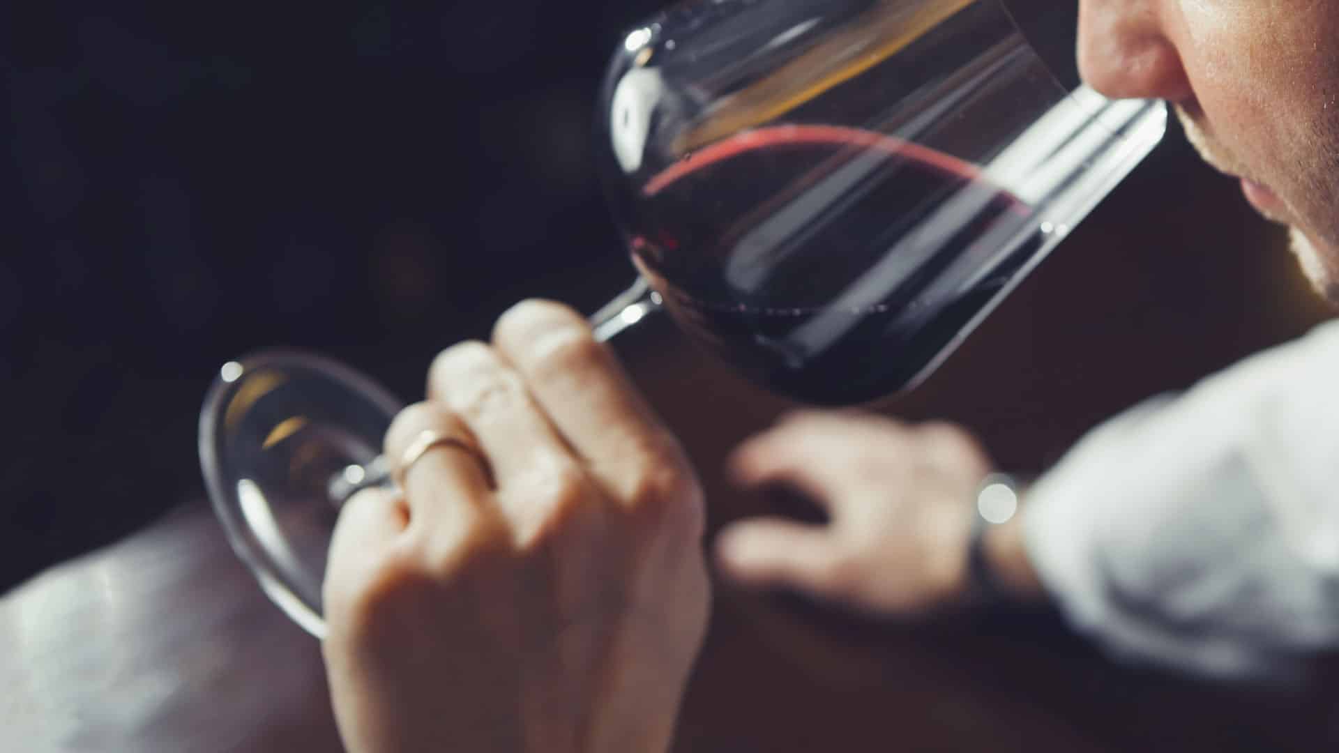 Die besten Rotweine für jeden Geschmack 15 rotwein geschmackspalette