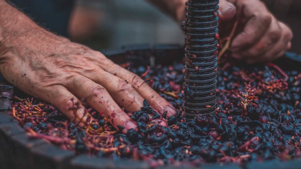 Maischegärung bei Rotwein – Traubenschalen während der Gärung
