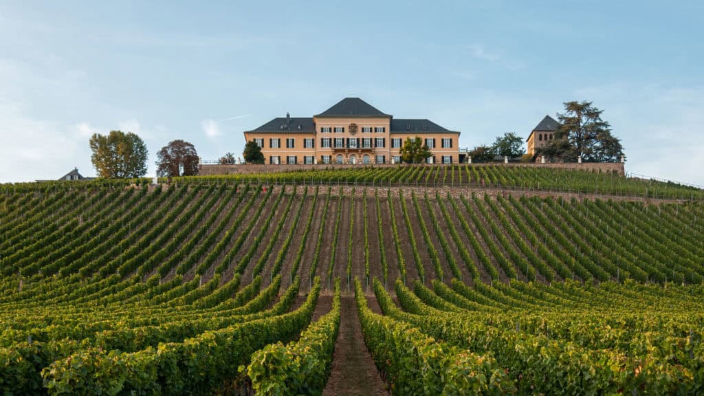 Schloss Johannisberg im Rheingau – historischer Ursprung des Johannisberg-Namens