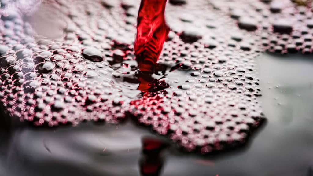 Syrah Wein Aromen dargestellt durch Wein