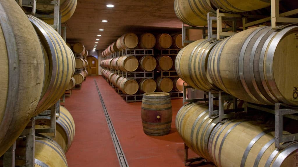 Syrah Wein in Barrique Fässern gelagert