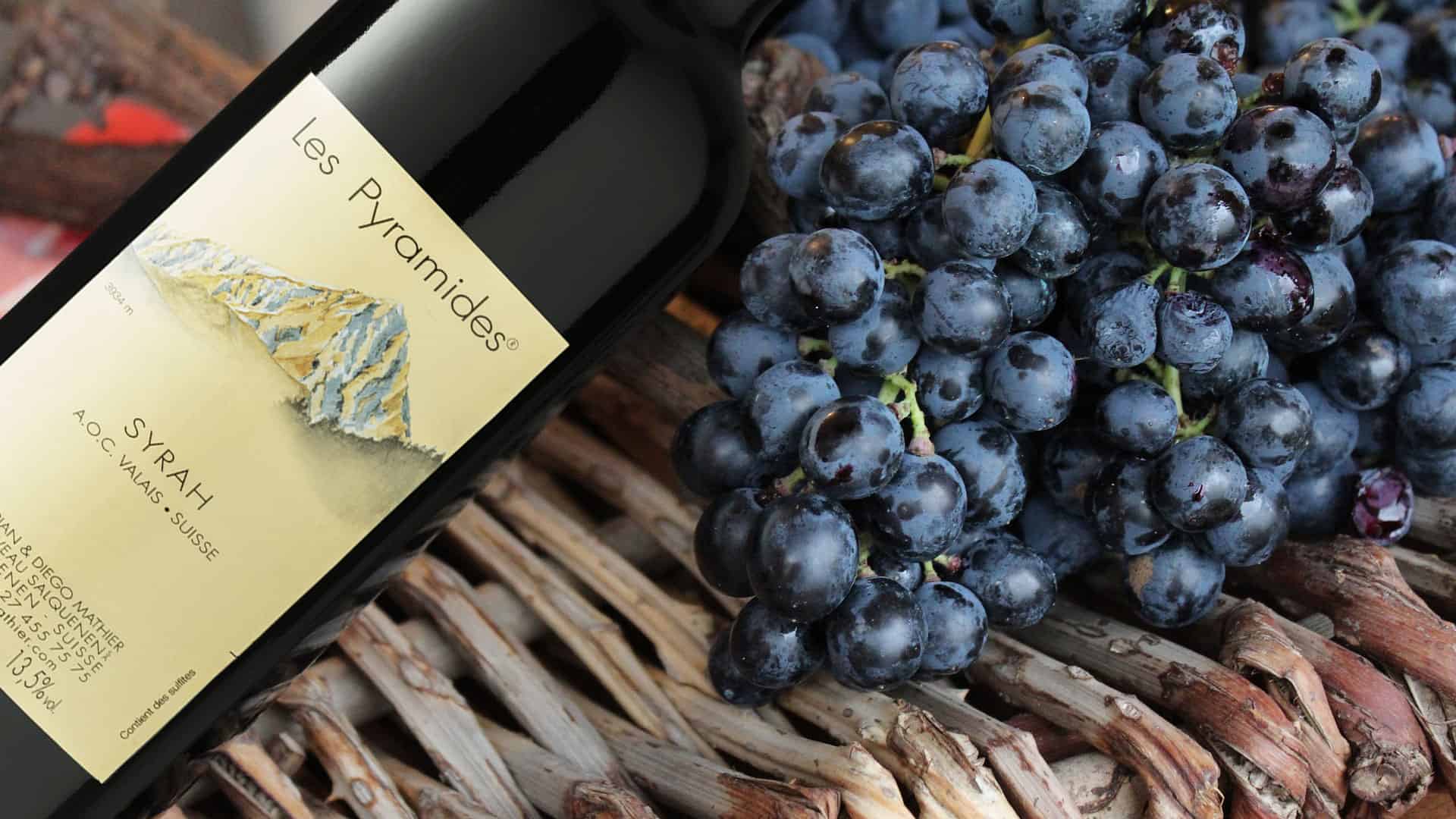 syrah les pyramides mit weintrauben