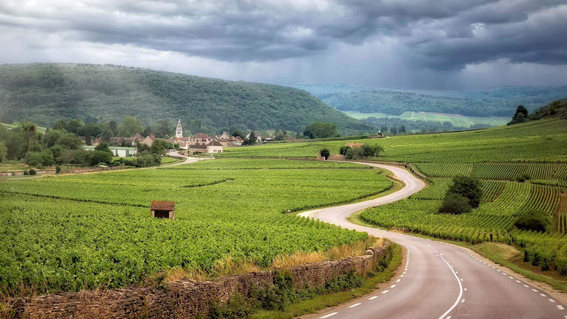 viognier weinlandschaft