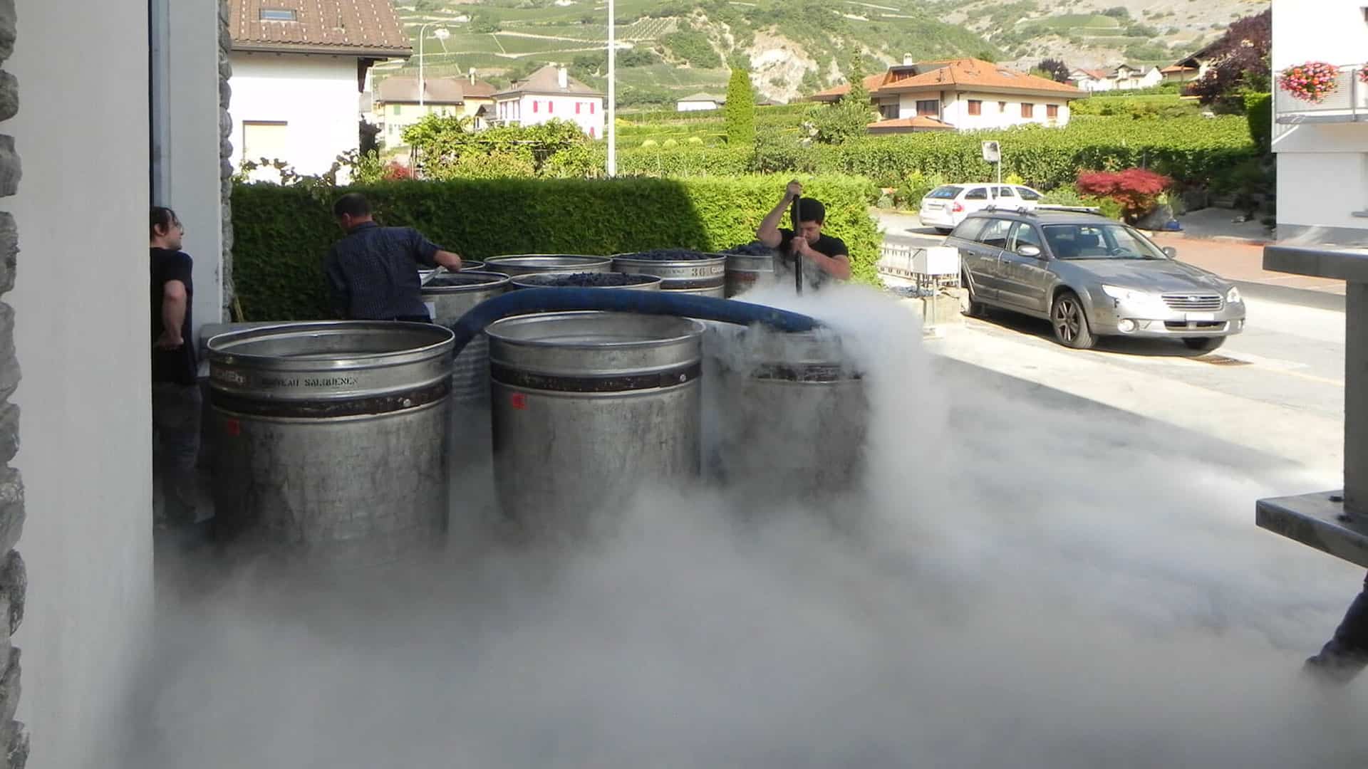 weissweinherstellung weinkuehlung