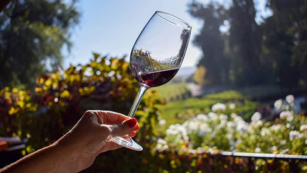 Rotwein im Glas im Freien, Farbtiefe und Weinstruktur sichtbar