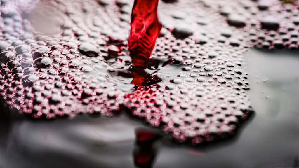 Gerbstoffe 87 gerbstoffe header beitragsbild
