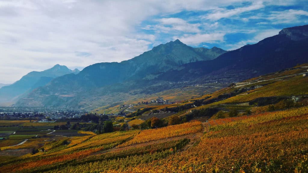 Terroir 13 terroir header beitragsbild