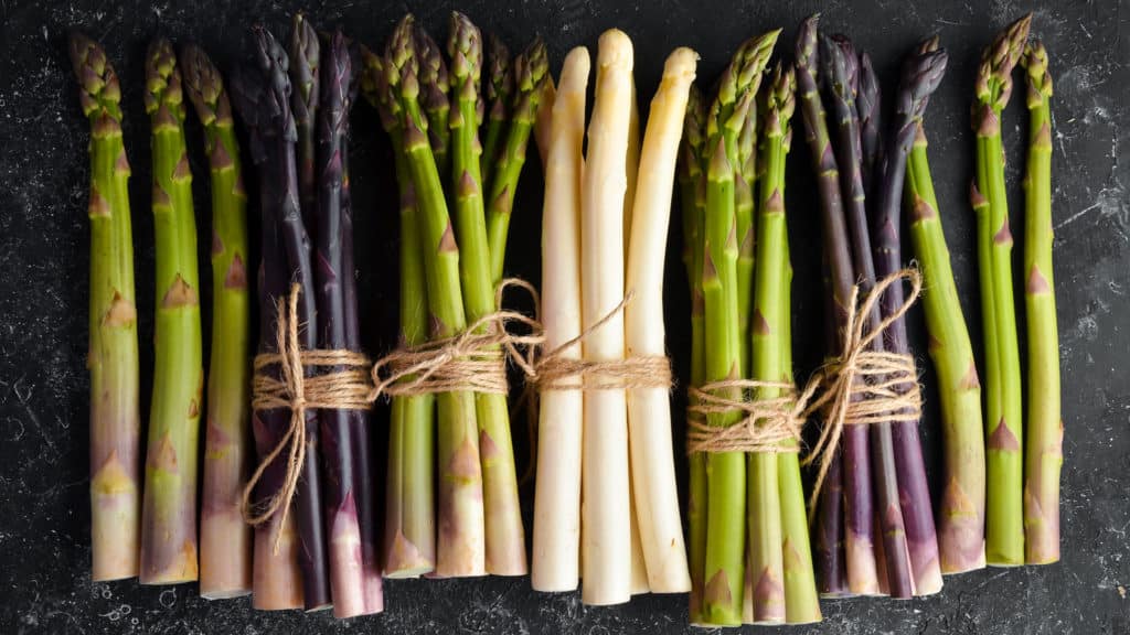 Various asparagus colors - white, green and purple, freshly harvested