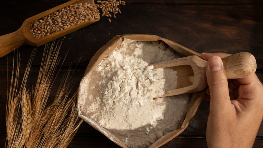 Bowl of rye flour - the basis for Valais rye bread