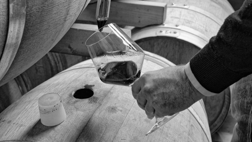 Weinkeller mit Barriquefässern – Lagerung und Reifung vor der Degustation