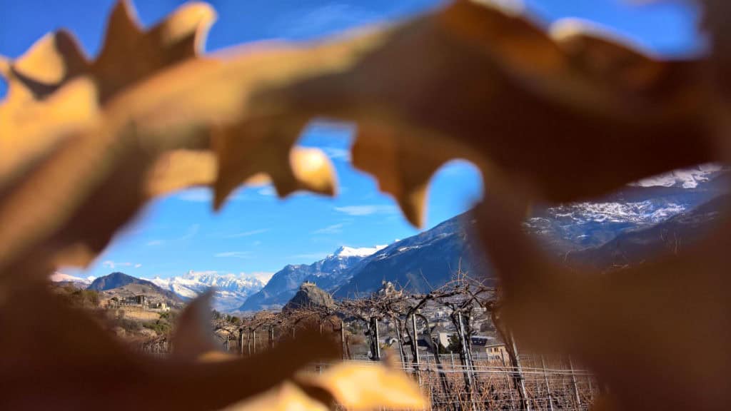 Herbst im Wallis – Weinberglandschaft und Klimaeinflüsse