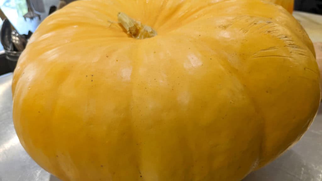 La crème de potiron de Fernando 2 tenne gluringen kuerbis