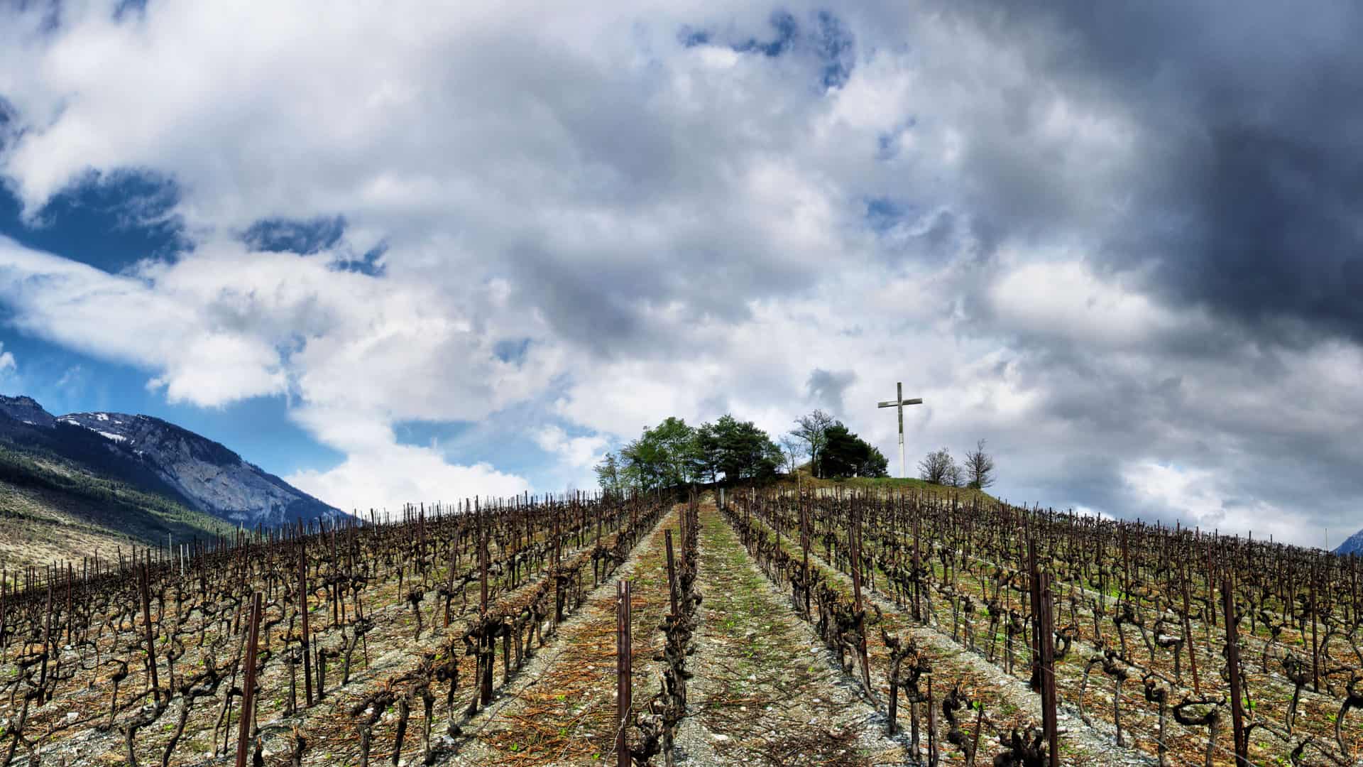 terroir wallis bodenbeschaftenheit