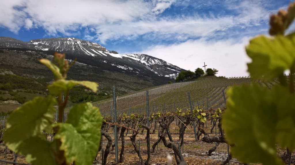 Terroir 34 terroir wallis header beitragsbild
