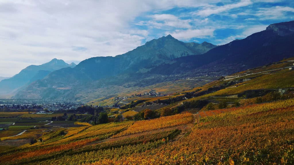 Weinberg im Wallis – Terroir und Lage der Reben