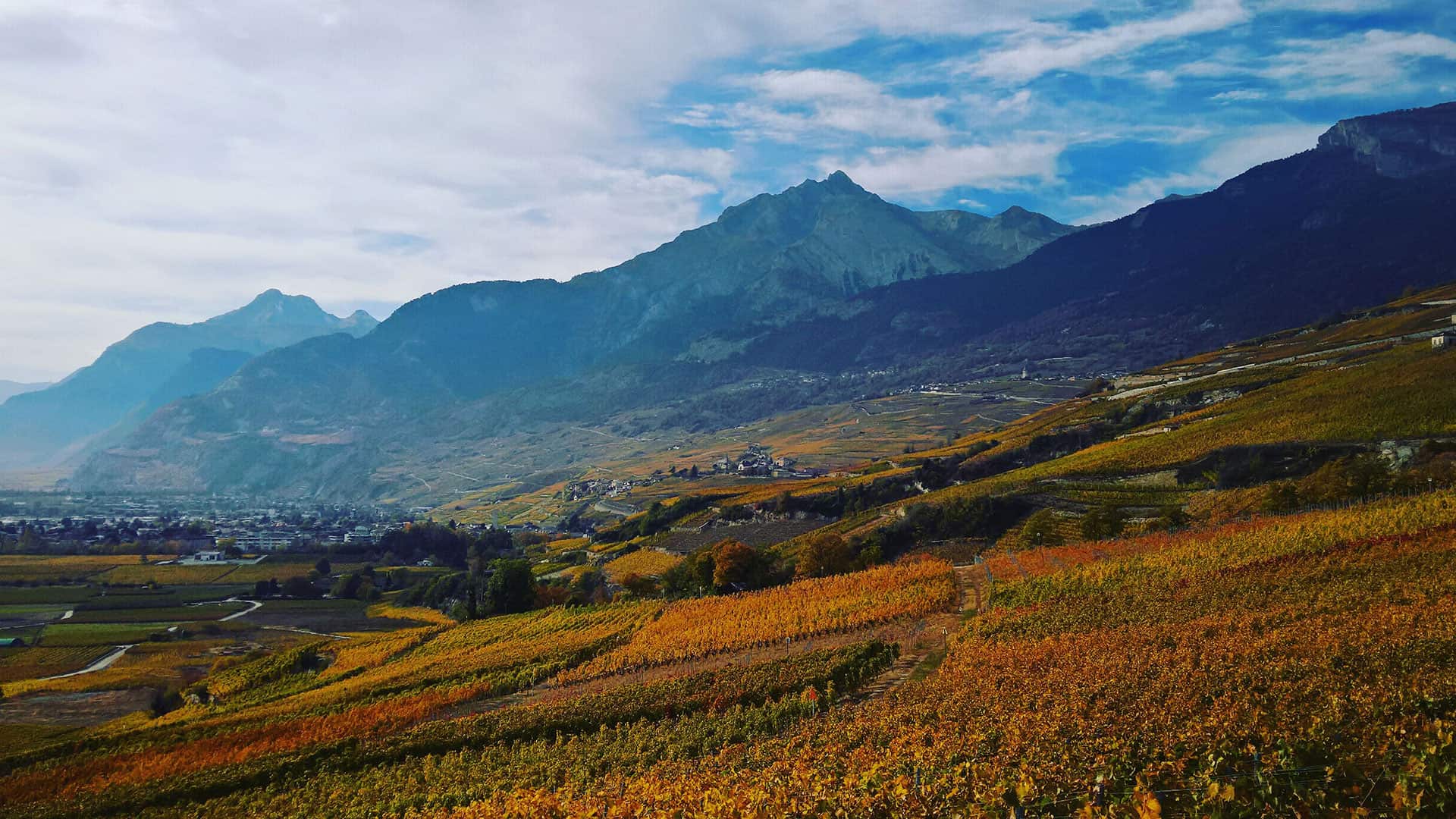 terroir wallis lage