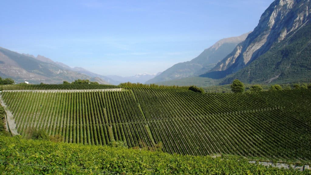 La Raspille Weinberg im Wallis – Lage und Terroir