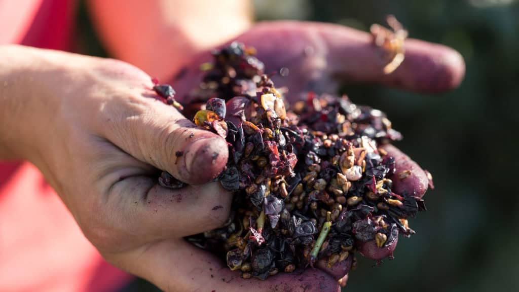 Rotwein im Glas – Gerbstoffe und Reifung bei Rotweinlagerung