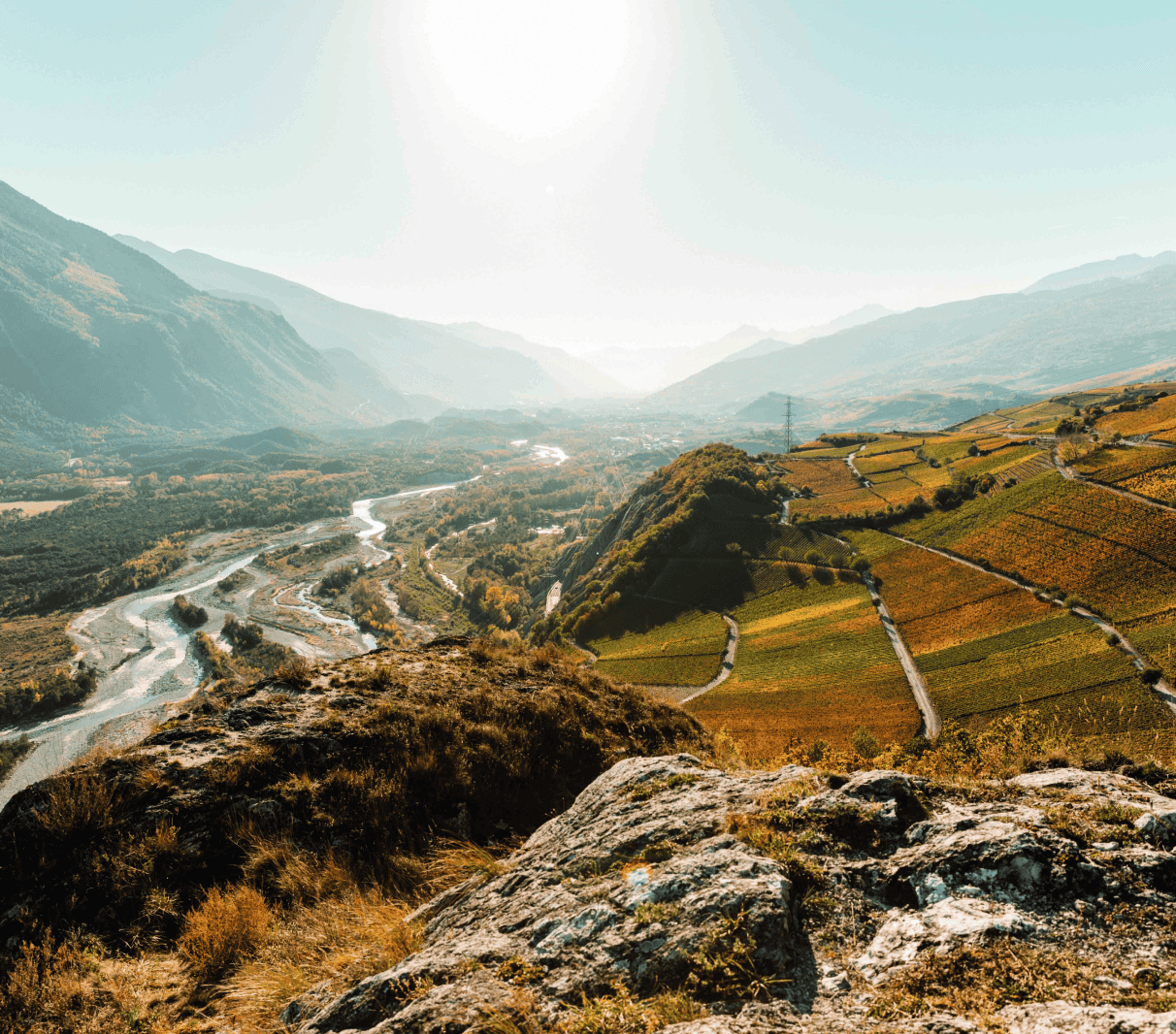Rebberge 7 rebberg herbst alte weinfaesser
