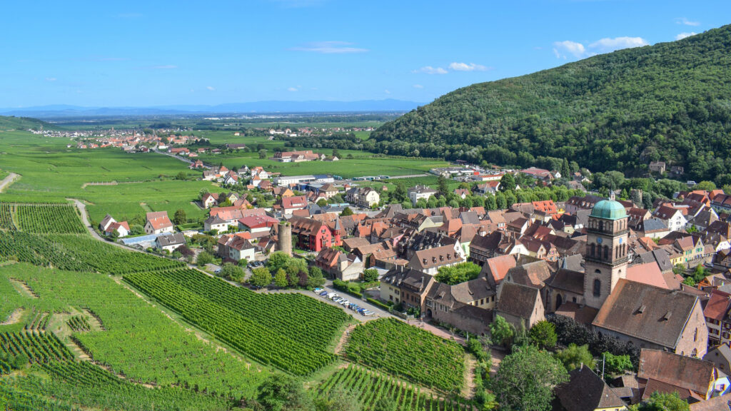 Weinregion Elsass als Beispiel einer Appellation