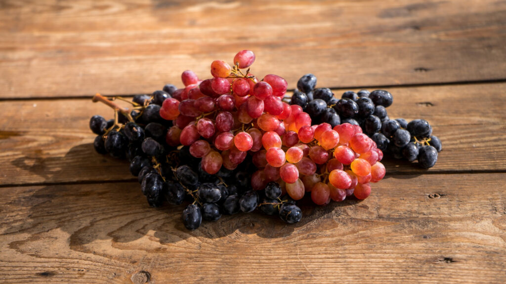 Verschiedene Weintrauben für Assemblage auf Tisch