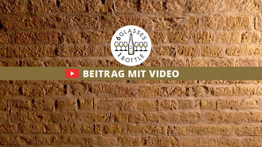 Geisenheim – Hochschule für Wein zu Besuch im Wallis 45 beitrag mit video 6glasses1bottle DE