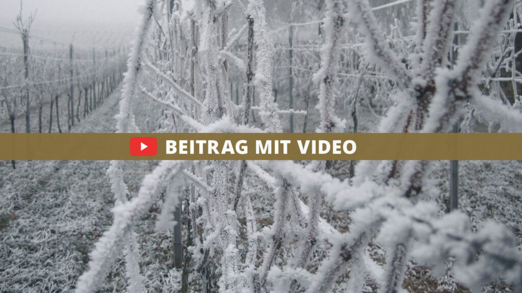 Frost 43 beitrag mit video frost DE