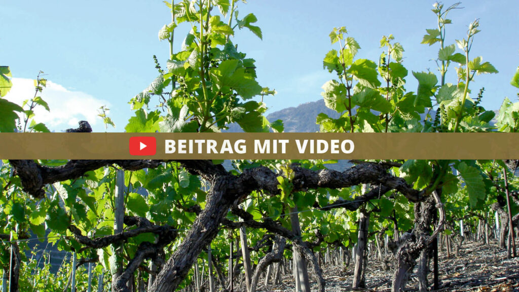Frühling 44 beitrag mit video fruehling DE