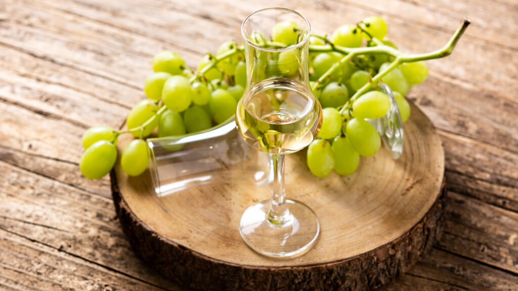 Thema Eau-de-vie: Glas mit klarem Grappa auf Holzscheibe neben zwei Trauben und einem liegenden Glas