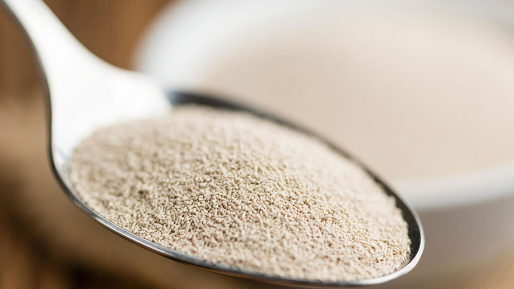 Löffel mit trockener Hefe – Weinhefe zur alkoholischen Gärung im Most