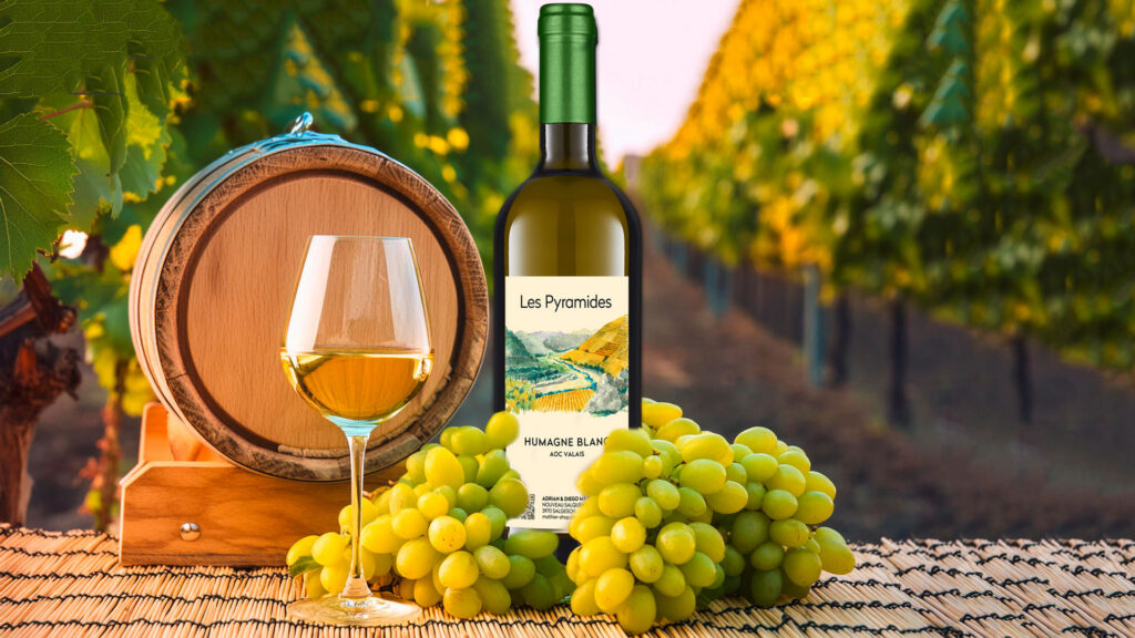 Flasche Les Pyramides Humagne Blanc, Glas Wein und Trauben vor Weinreben im Hintergrund.