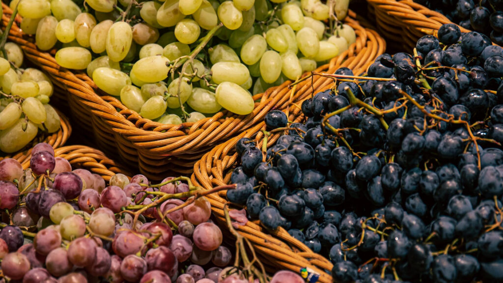 Verschiedene Weintrauben‑Sorten – Rebsortenvielfalt im Weinbau