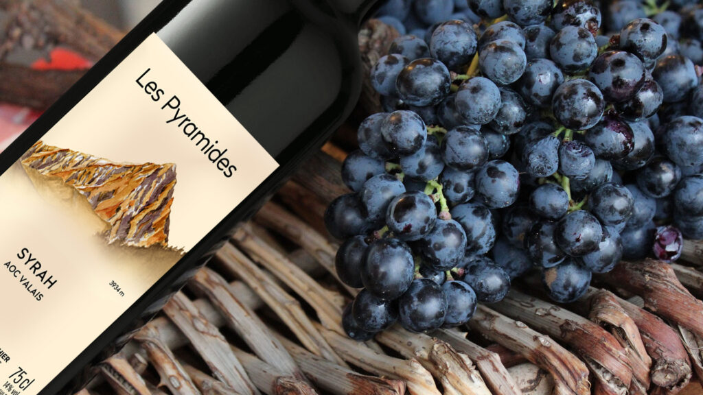 Flasche Les Pyramides Syrah Wein neben einem Bündel blauer Weintrauben auf einem geflochtenen Korb