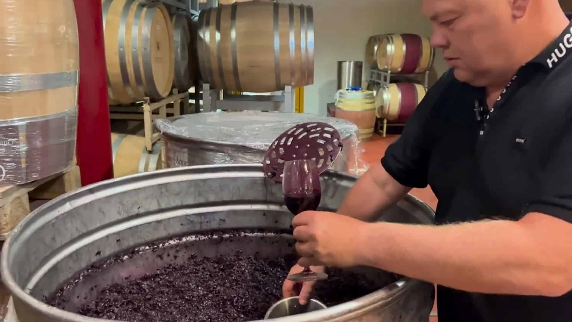 Weinjahrgang 2024 Testing