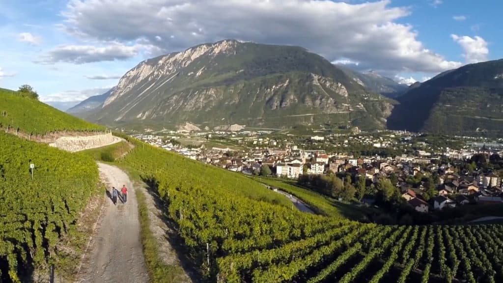Wine & Trail 71 weinwanderungsweg im Wallis in Salgesch