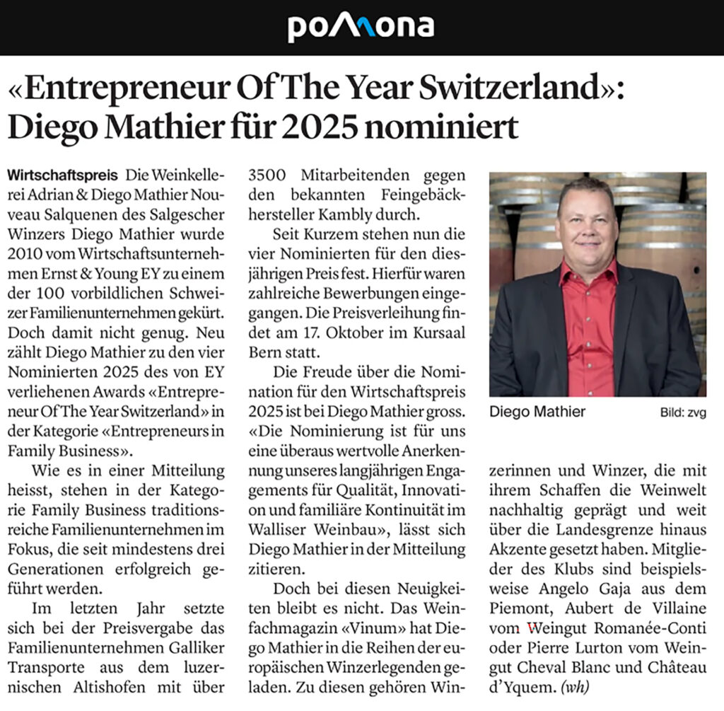 Wirtschaftspreis 2025 1 WB Entrepreneur of the year switerland diego mathier